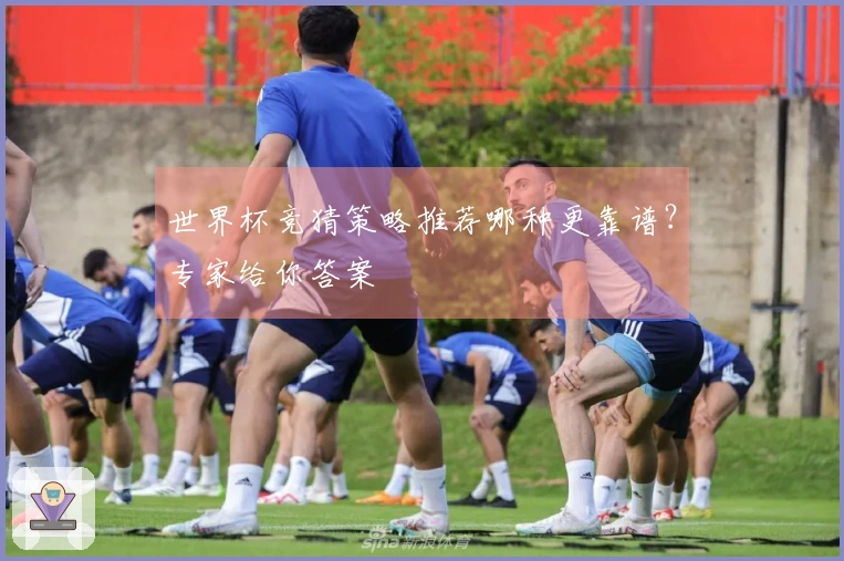 世界杯竞猜策略推荐哪种更靠谱？专家给你答案