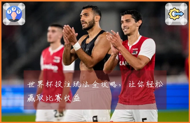 世界杯投注玩法全攻略，让你轻松赢取比赛收益