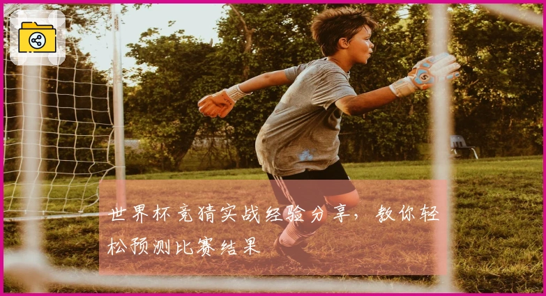 世界杯竞猜实战经验分享,教你轻松预测比赛结果