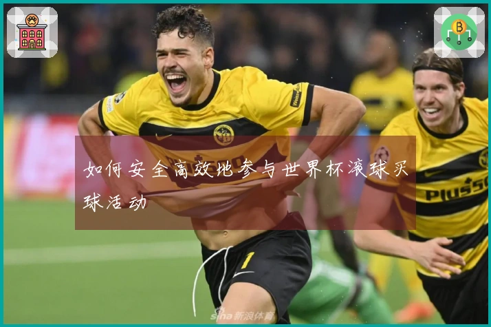 如何安全高效地参与世界杯滚球买球活动