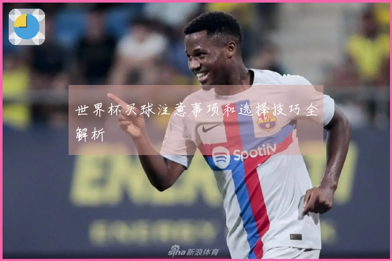 世界杯买球注意事项和选择技巧全解析