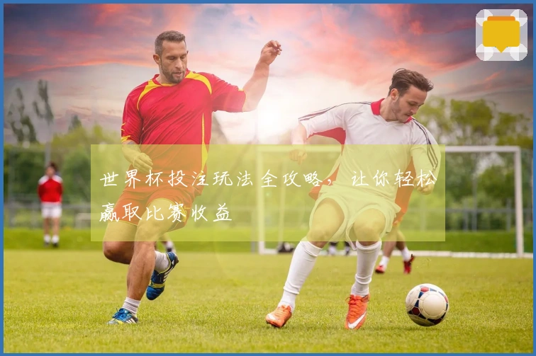 世界杯投注玩法全攻略，让你轻松赢取比赛收益
